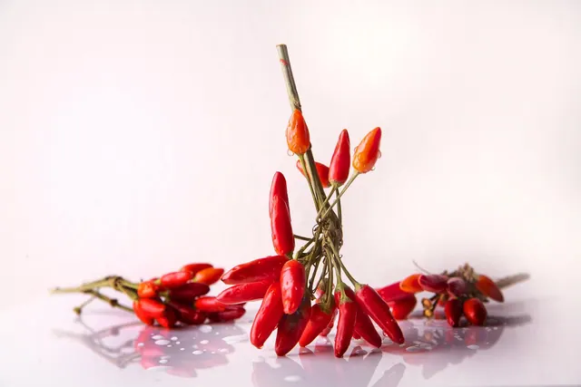 chili, seasoning, chilli pods, red, sharp, food, hot peppers, meal, pods, capsicum, vegetables, fiery, mediterranean, fresh, healthy, italian, chili, chili, chili, chili, chili, ve