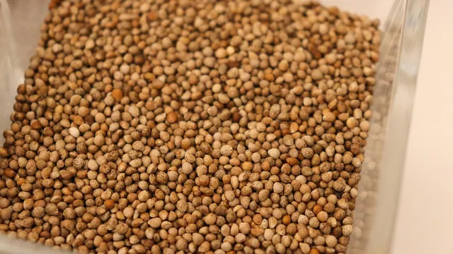 sesame, perilla, perilla seeds, perillas, sauce, oilperilla seeds oil, sesami, sesami oil, spice, food, seasoning, condiment, fragrant, table, perilla, perilla, perilla, perilla, p