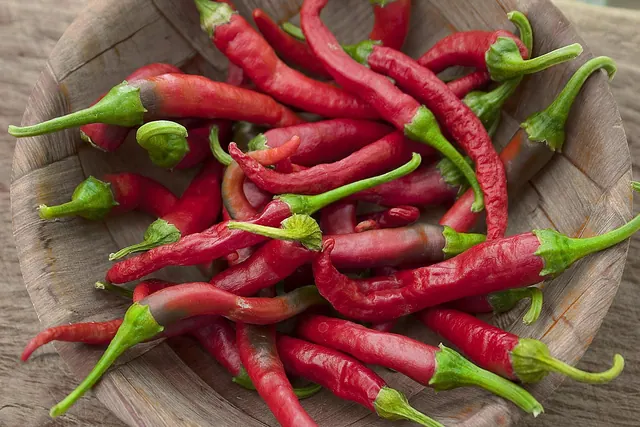 chillis, chillies, gardening, vegetable, hot, spicy, pepper, ingredient, chili, red, food, condiment, chillies, chili, chili, chili, chili, chili