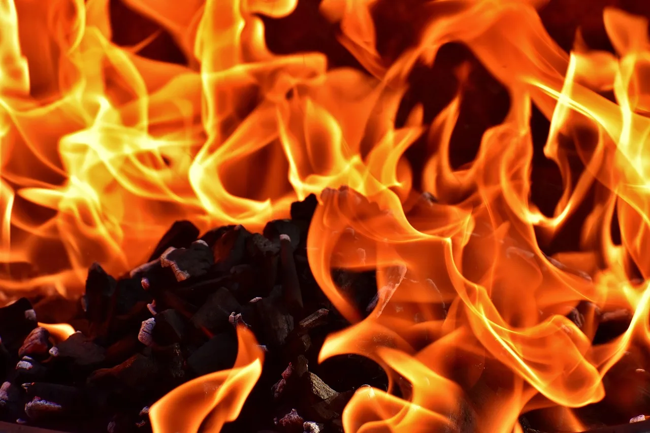 fire, flames, money, burn, hot, campfire, fireplace, embers, glow, heat, fire, fire, fire, fire, fire, money, money. A hot sauce production budget in three blocks, worked through