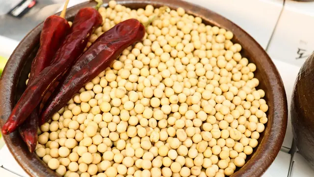 bean, white kong, tofu in hong kong, tofu, dried chilli, soybean, red pepper powder, pepper, pepper powder, pepper paste, korea sauce, hot sauce, red pepper, red pepper paste, spic