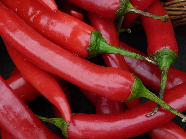 chilli, peppers, red chilli, green stalks, vegetable, chilly, food, ingredient, vegetarian, lifestyle, raw, red, colour, ripe, seasoning, spice, taste, hot, heap, flavouring, baske