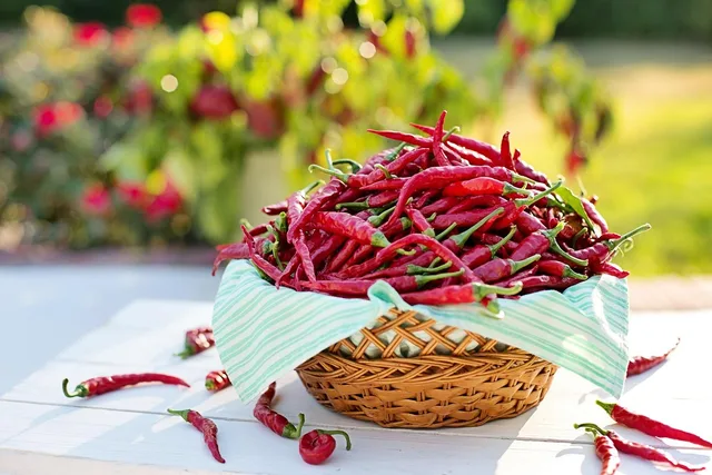cayenne peppers, chili peppers, red peppers, hot peppers, harvest, produce, organic, cayenne, food, cooking, fresh, ingredient, chili, cooking, chili, chili, chili, chili, chili. How New Orleans pepper sourcing and seasonality shape Louisiana hot sauce