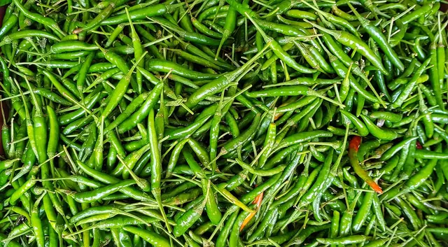 green, hot, chili, food, spice, vegetable, cayenne, cooking, healthy, freshness, batch, closeup, capsicum, green cooking, green vegetables, capsicum, capsicum, capsicum, capsicum, 
