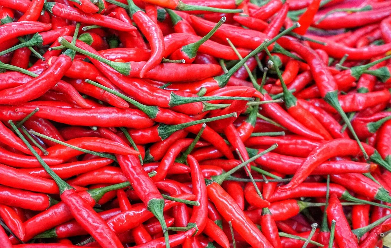 red, hot, chili, food, spice, vegetable, cayenne, cooking, healthy, freshness, batch, closeup, capsicum, red food, red cooking, red vegetables, red healthy, cayenne, cayenne, cayen