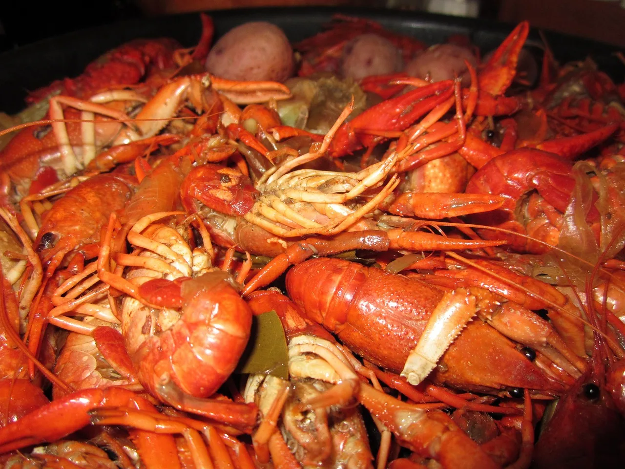 crawfish, food, boiled, new orleans, crayfish, seafood, shellfish, fresh, crustacean, claw, meal, dinner, cooked, shell, prepared, spicy, eating, delicatessen, freshness, cajun, cuisine, creole, seasoning, antenna, prawn, louisiana, southern, crawdad, eat, cook, freshwater, boil, tail, orange food, orange cooking, orange news, orange dinner, orange eating, orange new, crawfish, new orleans, new orleans, new orleans, new orleans, new orleans, cajun, louisiana. How the US treats regional spice blend names like Cajun and Santa Maria